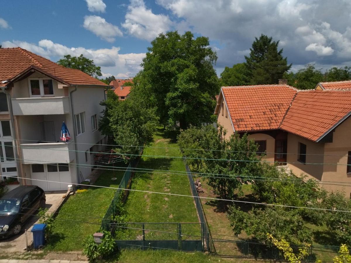 Vila Lenka Sokobanja Dış mekan fotoğraf