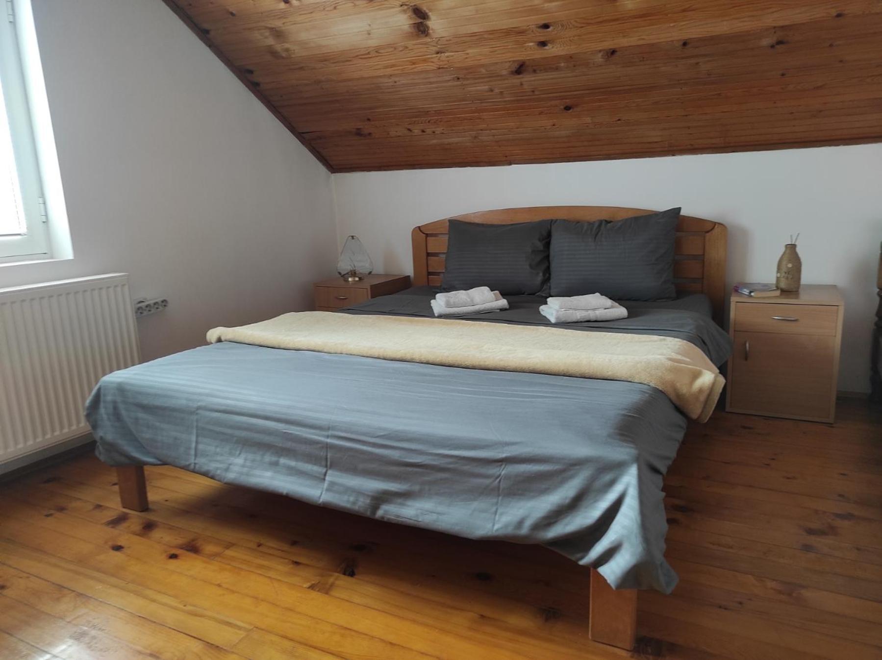 Vila Lenka Sokobanja Oda fotoğraf