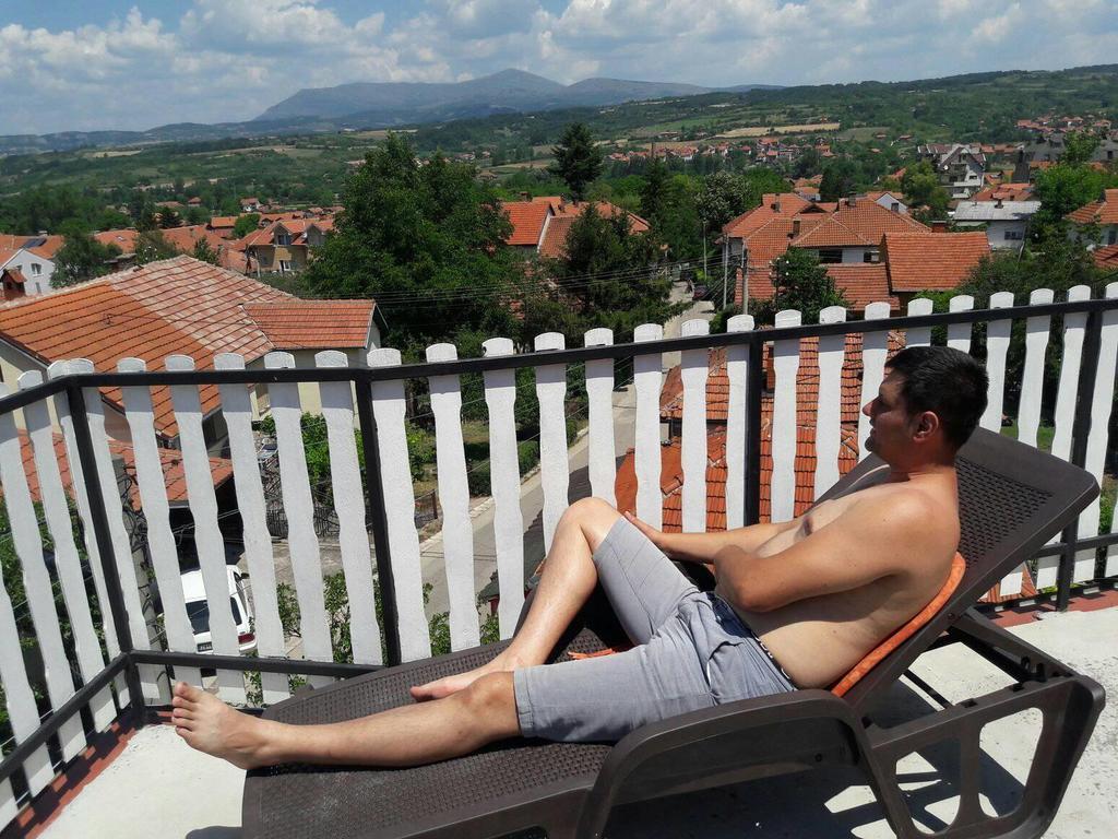 Vila Lenka Sokobanja Dış mekan fotoğraf