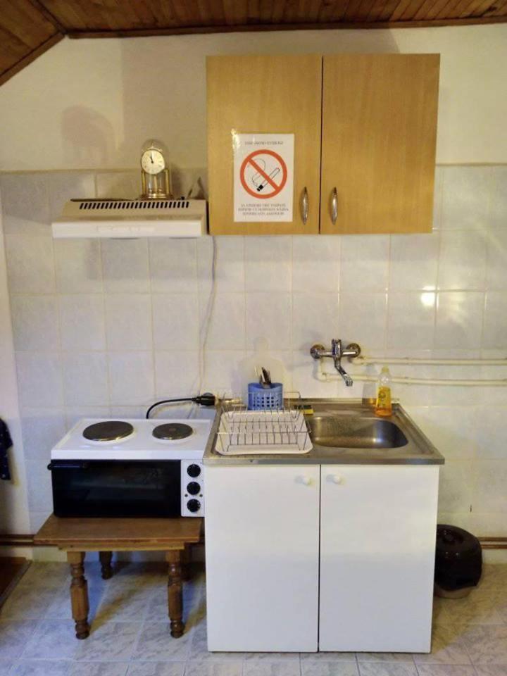 Vila Lenka Sokobanja Dış mekan fotoğraf