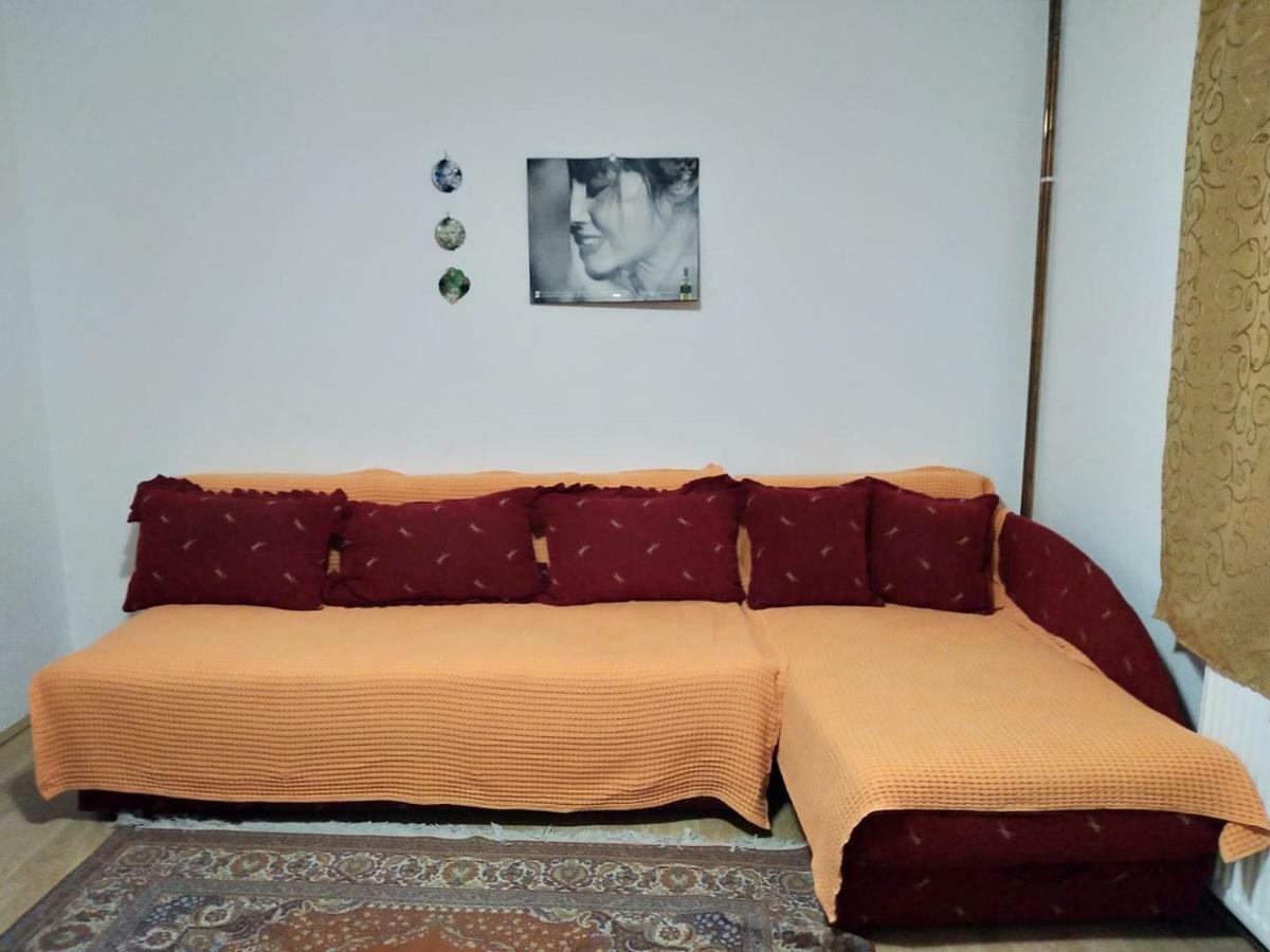 Vila Lenka Sokobanja Dış mekan fotoğraf
