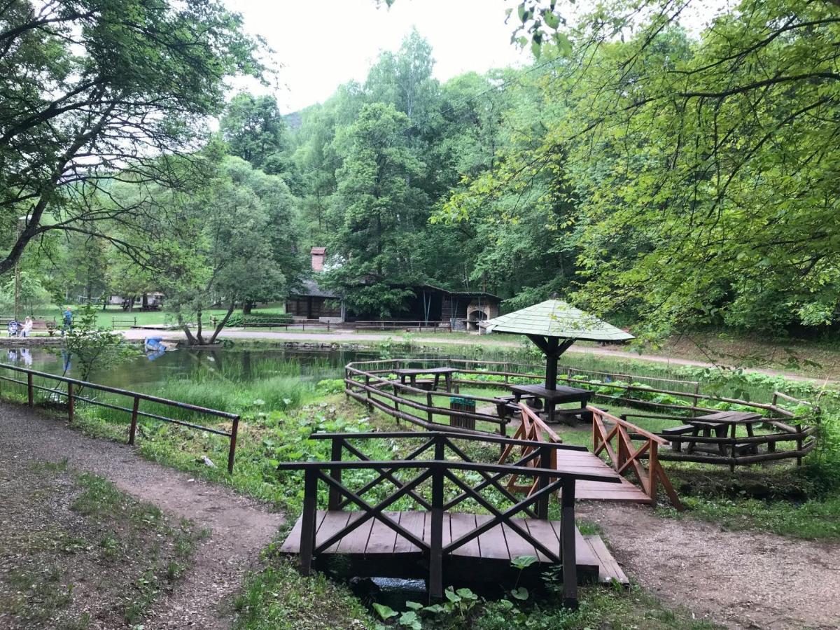 Vila Lenka Sokobanja Dış mekan fotoğraf